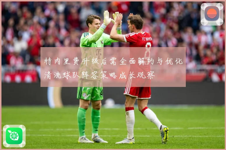 特内里费升级后需全面解约与优化清洗球队阵容策略成长观察
