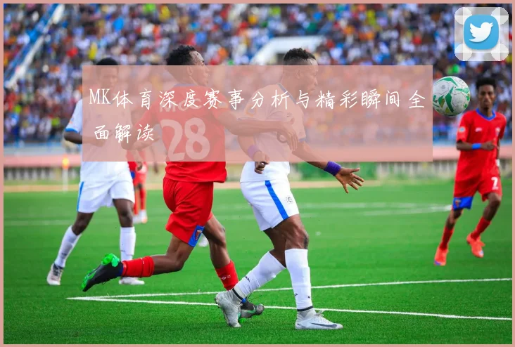 MK体育深度赛事分析与精彩瞬间全面解读