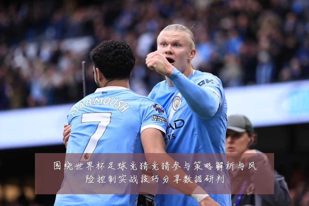 围绕世界杯足球竞猜竞猜参与策略解析与风险控制实战技巧分享数据研判