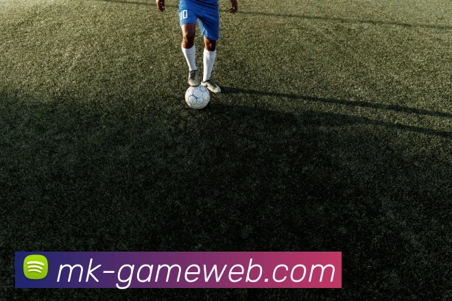 MK体育平台展示图